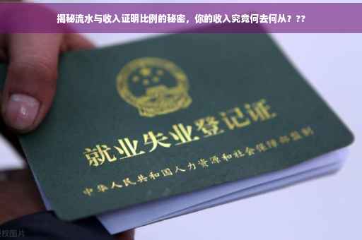 揭秘流水与收入证明比例的秘密，你的收入究竟何去何从？??