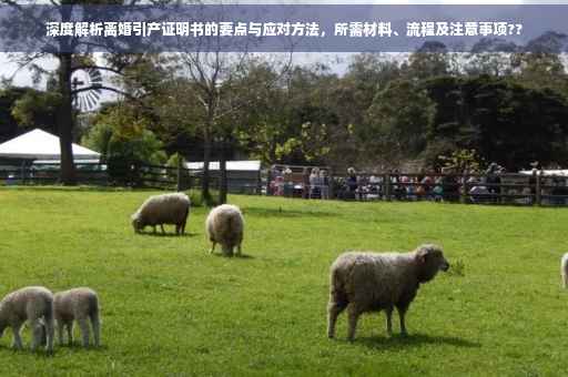 深度解析离婚引产证明书的要点与应对方法，所需材料、流程及注意事项??