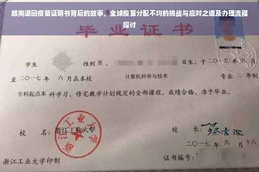 越南退回疫苗证明书背后的故事，全球疫苗分配不均的挑战与应对之道及办理流程探讨