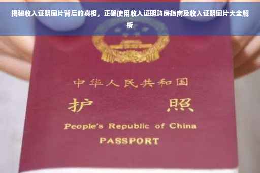 揭秘收入证明图片背后的真相，正确使用收入证明购房指南及收入证明图片大全解析