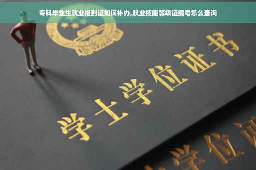 专科毕业生就业报到证如何补办,职业技能等级证编号怎么查询
