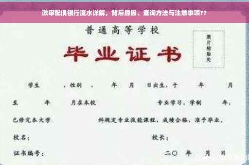 政审配偶银行流水详解，背后原因、查询方法与注意事项??