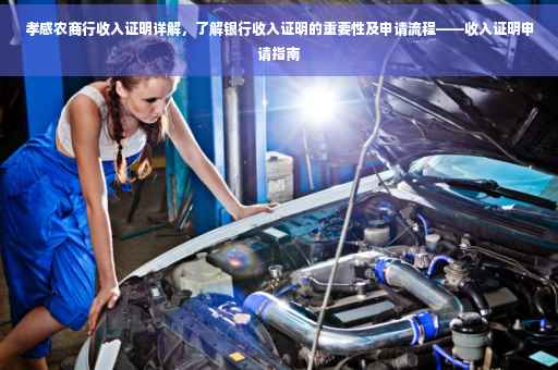 孝感农商行收入证明详解，了解银行收入证明的重要性及申请流程——收入证明申请指南