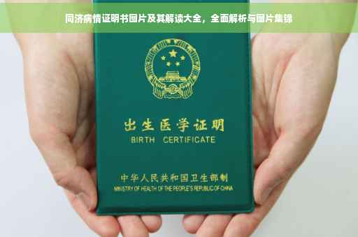 同济病情证明书图片及其解读大全，全面解析与图片集锦