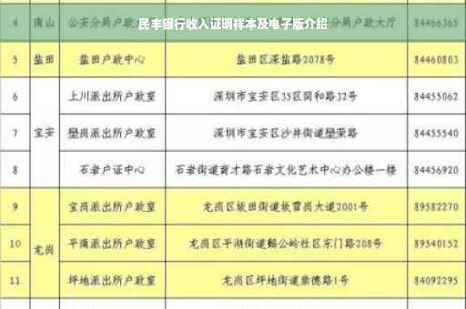 民丰银行收入证明样本及电子版介绍