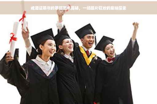戒酒证明书的恶搞艺术揭秘，一场图片狂欢的趣味探索