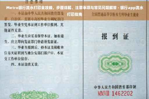 Metro银行流水打印全攻略，步骤详解、注意事项与常见问题解答 - 银行app流水打印指南