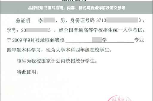 品牌证明书撰写指南，内容、格式与要点详解及范文参考