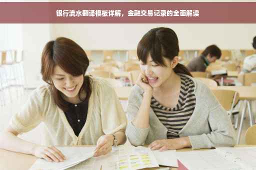 银行流水翻译模板详解，金融交易记录的全面解读