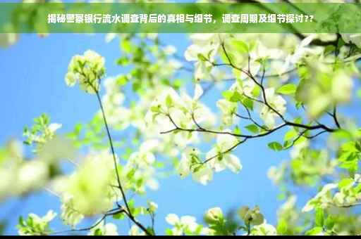 揭秘警察银行流水调查背后的真相与细节，调查周期及细节探讨??
