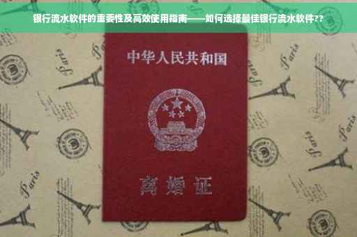 银行流水软件的重要性及高效使用指南——如何选择最佳银行流水软件??