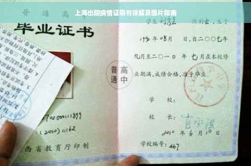 上海出院病情证明书详解及图片指南