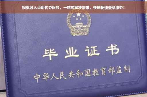 铜梁收入证明代办服务，一站式解决需求，快速便捷盖章服务！