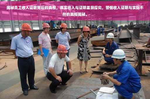 揭秘员工收入证明背后的真相，真实收入与证明差异探究，警惕收入证明与实际不符的真相揭秘。