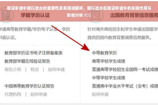 签证申请中银行流水的重要性及其用途解析，银行流水在签证申请中的关键作用与影响分析 ?⚡️