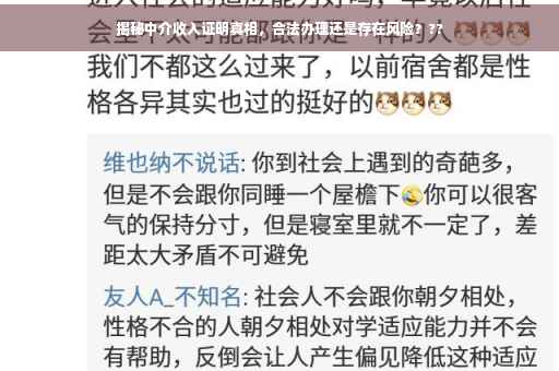 揭秘中介收入证明真相，合法办理还是存在风险？??