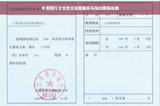 中原银行企业流水深度解析与导出明细指南