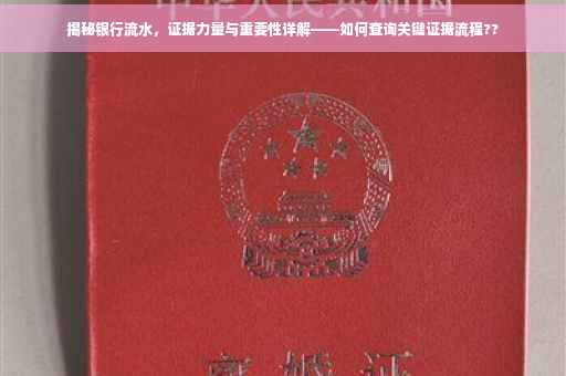 揭秘银行流水，证据力量与重要性详解——如何查询关键证据流程??