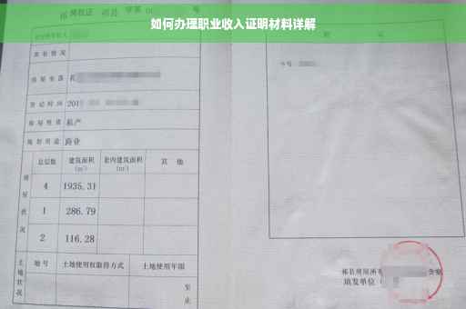 如何办理职业收入证明材料详解
