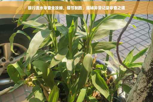 银行流水审查全攻略，细节制胜，揭秘异常记录审查之道