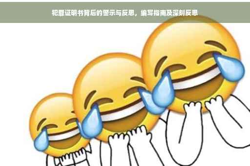 犯罪证明书背后的警示与反思，编写指南及深刻反思