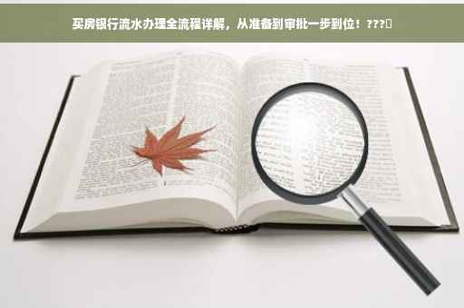 买房银行流水办理全流程详解，从准备到审批一步到位！???✨