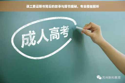 误工费证明书背后的故事与细节揭秘，专业模板解析