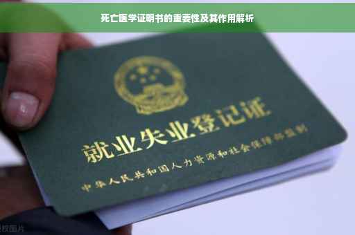 死亡医学证明书的重要性及其作用解析