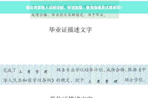 国企贷款收入证明详解，申请流程、使用指南及注意事项?