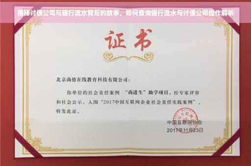 揭秘讨债公司与银行流水背后的故事，如何查询银行流水与讨债公司操作解析