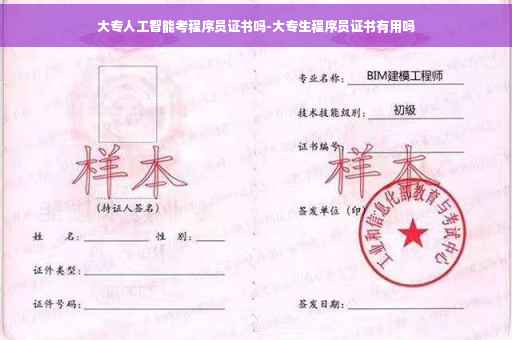 大专人工智能考程序员证书吗-大专生程序员证书有用吗