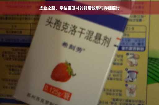 毕业之路，学位证明书的背后故事与存档探讨