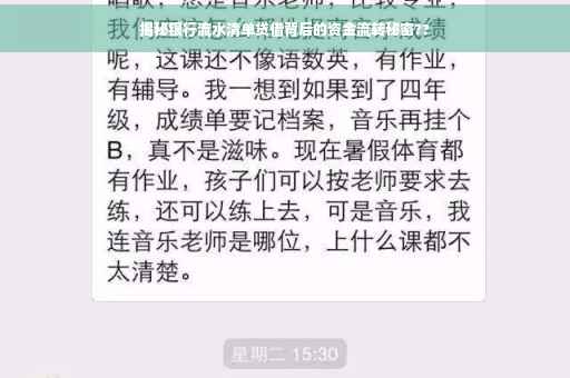 揭秘银行流水清单贷借背后的资金流转秘密??