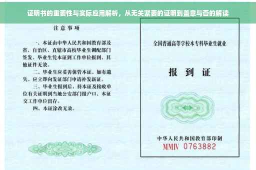 证明书的重要性与实际应用解析，从无关紧要的证明到盖章与否的解读