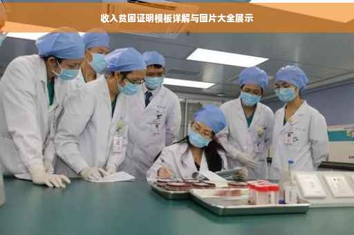 收入贫困证明模板详解与图片大全展示