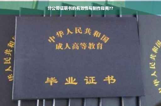分公司证明书的有效性与制作指南??