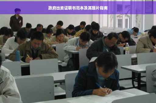 政府出资证明书范本及其图片指南