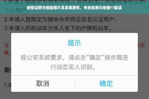 病情证明书模板图片及其重要性，专业指南与老梗??解读