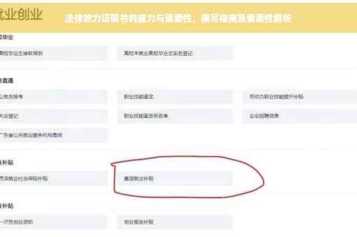 法律效力证明书的威力与重要性，撰写指南及重要性解析