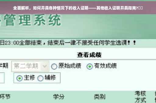 全面解析，如何开具各种情况下的收入证明——其他收入证明开具指南?⚡️