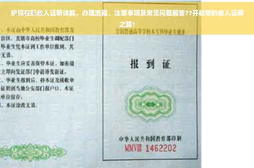 护照在职收入证明详解，办理流程、注意事项及常见问题解答??开启您的收入证明之路！