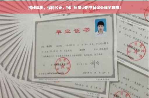 揭秘真相，保障公正，钢厂质量证明书异议处理全攻略！