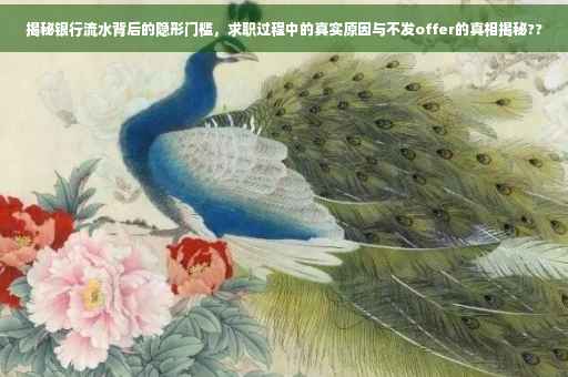 揭秘银行流水背后的隐形门槛，求职过程中的真实原因与不发offer的真相揭秘??