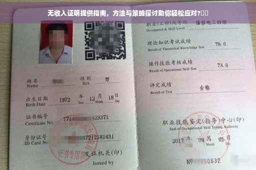 无收入证明提供指南，方法与策略探讨助你轻松应对?⚡️