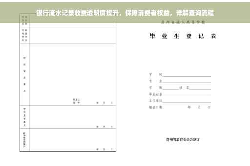 银行流水记录收费透明度提升，保障消费者权益，详解查询流程