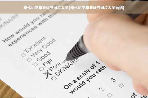 奉化小学毕业证书图片大全(奉化小学毕业证书图片大全高清)