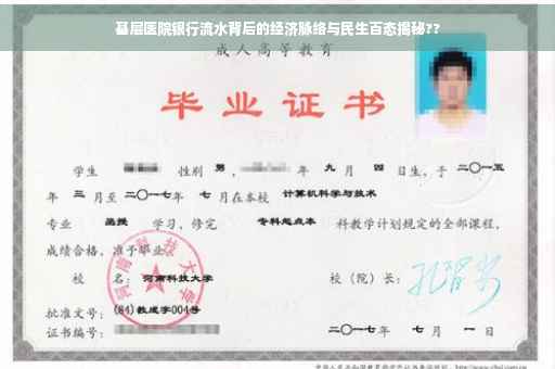 基层医院银行流水背后的经济脉络与民生百态揭秘??