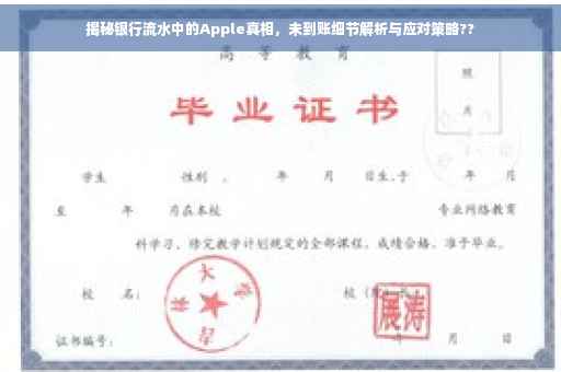 揭秘银行流水中的Apple真相，未到账细节解析与应对策略??