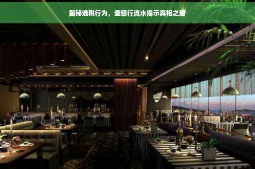 揭秘逃税行为，查银行流水揭示真相之道