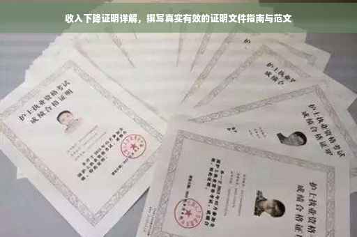 收入下降证明详解，撰写真实有效的证明文件指南与范文
